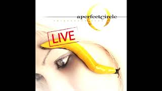 A Perfect Circle  Thirteenth Step Live Full Album Rare [upl. by Tiphani]