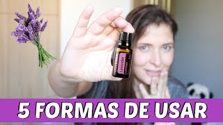 5 FORMAS DE USAR ÓLEO ESSENCIAL DE LAVANDA queda de cabelo Insônia e mais [upl. by Filip653]