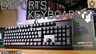 SteelSeries APEX M750 Mechanical Keyboard Review [upl. by Yanel634]