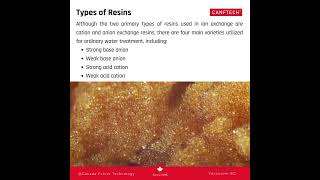 Differences between Cation and anion exchange resins [upl. by Eidna368]