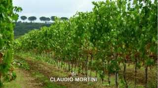 UMBRIA  TORGIANO Borgo Medievale  Medieval Village HD 1080p [upl. by Annaira917]