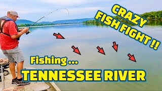 FISHING the TENNESSEE RIVER using BIG MINNOWS as BAIT [upl. by Razatlab]