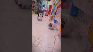 Remote control dog  robotic smart dog with ball [upl. by Gleda779]