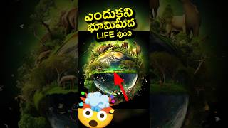 🤯Why Only Earth Has Life Explained in Telugu and Life on mars [upl. by Aneles]