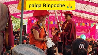 Palga Rinpoche in Shashur monastery 🙏 Day1 [upl. by Isle33]