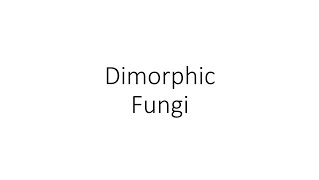 Dimorphic Fungi  Microbiology [upl. by Manaker661]