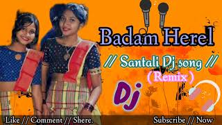 New santali Dj song 202425  Badam Herel  santali dj song  soren music [upl. by Cosmo]