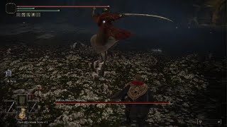 Elden Ring  Malenia NG solo fight Level 160 Parrying Dagger  Misericorde [upl. by Aleirbag]