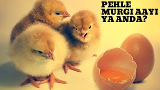 Pehle murgi aayi ya anda  What came first chicken or egg  Dharti par jeevan ka itihas [upl. by Khajeh589]