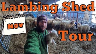 Small Scale Low Cost Lambing Shed Setup Lambing Poll Dorsets In November [upl. by Adnaerb38]