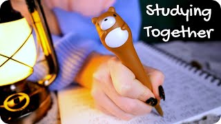 ASMR Fireside Studying 🔥✍️ Inaudible Whisper Pen Writing Fire Crackle Tapping Cozy 1 Hour [upl. by Lihkin]