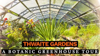 A Botanic Greenhouse Tour at Thwaite Gardens with Steve Howe [upl. by Acnayb]