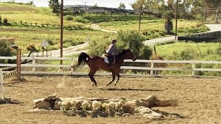 SOLOSHOT3  Equestrian Filmed with Optic65 Camera [upl. by Bucella916]