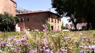 Bañuelos de Bureba y el Maestro Benaiges [upl. by Awuhsoj667]