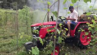 Trator Mahindra 2025 trabalhando com pulverizador de 270 litros [upl. by Eidarb]