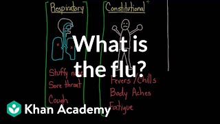 What is the flu  Infectious diseases  Health amp Medicine  Khan Academy [upl. by Atnovart]