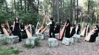 Scarborough Fair Live  Fabius Constable amp the Celtic Harp Orchestra [upl. by Meldoh343]