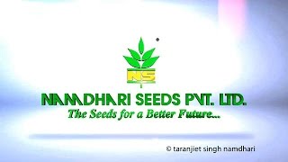 Namdhari Seeds Pvt Ltd  NSPL  Corporate [upl. by Okuy90]