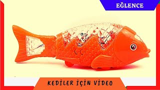 KEDİLER İÇİN video [upl. by Annoel653]