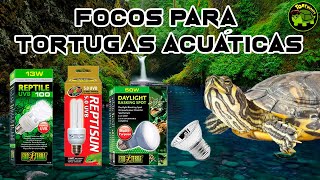 FOCOS UVB RECOMENDADOS PARA TORTUGAS DE AGUA [upl. by Hultgren]