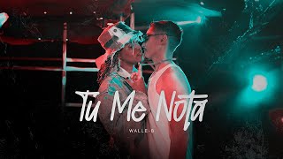 WALLE B  Tu me nota feat Cerebeats [upl. by Tomchay]