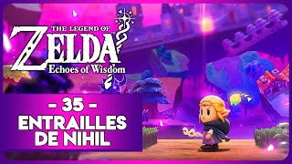 ZELDA ECHOES OF WISDOM 35  ENTRAILLES DE NIHIL [upl. by Jovitta]