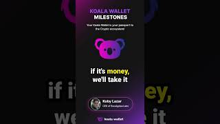 Koala Wallet 2024 A Year of Expansion Providers and Trading Upgrades [upl. by Llekcir]