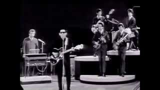 Roy Orbison  Running Scared Live in 1965 at The BBC Monument Concert [upl. by Couhp586]