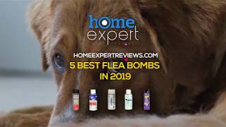 5 BEST FLEA BOMBS AND FLEA FOGGERS IN 2019 [upl. by Enelrahc799]