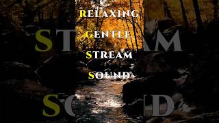 Gentle Stream Sound For Sleep Study Meditation Yoga amp Spa  Calming Music shorts nature relax [upl. by Aicilyt]