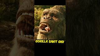 Gorilla Sakit Gigi cuplikanfilm [upl. by Cortie]