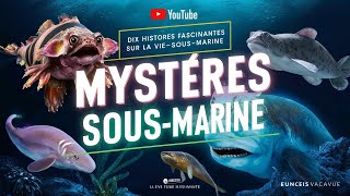 Dix histoires fascinantes qui révèlent les mystères sousmarins [upl. by Une301]