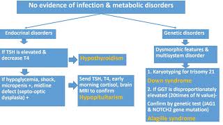 Neonatal Jaundice Part 33  Neonatal Cholestasis  Pediatrics [upl. by Elaweda891]