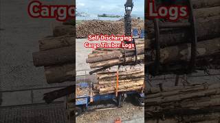 Wismar Germany self discharging cargo timber shorts [upl. by Haerb]