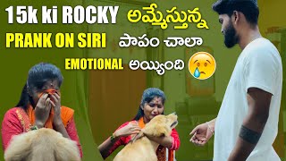 15k ki Rocky ni అమ్మేస్తున్నా😳😡 prank on Siri😂😂 papam ఘోరంగా ఏడ్చింది😭😭😭 [upl. by Safoelc]