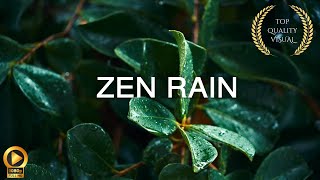 10 Hour  Calm Rain ASMR  Spiritual Rain Meditation  Relaxing Background Ambience [upl. by Adnorrahs]