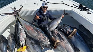 WIDE OPEN BLUEFIN TUNA  Monster Fish [upl. by Jessalyn220]