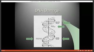 Radiobiology Review [upl. by Ayhtak]