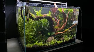 Superfish Scaper 60 Aquarium [upl. by Zebadiah]