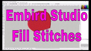 Embird Studio All about fill stitches nodes and tips and tricks 💖 [upl. by Kristan]