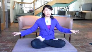 Falun Gong Meditation Demo [upl. by Mickey375]