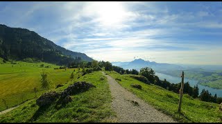 Rigi SeebodenalpRundweg Luzern Schweiz [upl. by Epolulot]