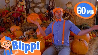 Pumpkin Farm  Blippi  Shows for Kids  Explore With Me [upl. by Ieso]