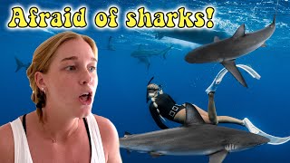 she was TERRIFIED of the sharks North Shore Oahu Hawaii VLOG [upl. by Ecital]