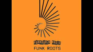 Funkrudin Krcic  Funk Roots [upl. by Berthe]