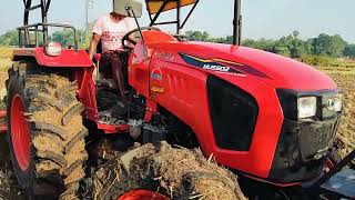 KUBOTA MU5502 4WD ON ROTAVATORLOW 3 2000 RPM540 PTO [upl. by Kannav801]