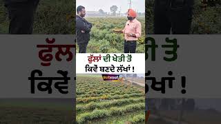 Flower ਦੀ ਖੇਤੀ ਤੋਂ ਵੱਧ ਕਮਾਈ [upl. by Jobe]