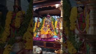 Rajopachara kattiyam sevai at HMV [upl. by Ahseik478]