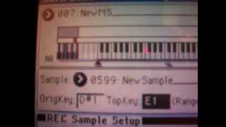 HOW I PUT DRUM SAMPLES INTO A KORG KEYBOARD TOTUR [upl. by Scully]