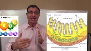 How to Test for Leaky Gut with Dr Rob [upl. by Tuhn]